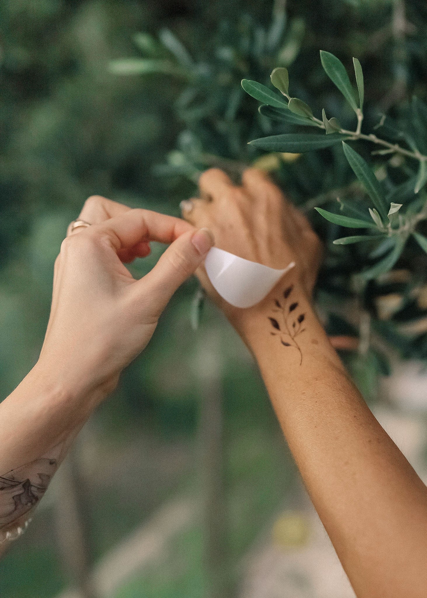 Set 6 tatuaje temporare Vânt